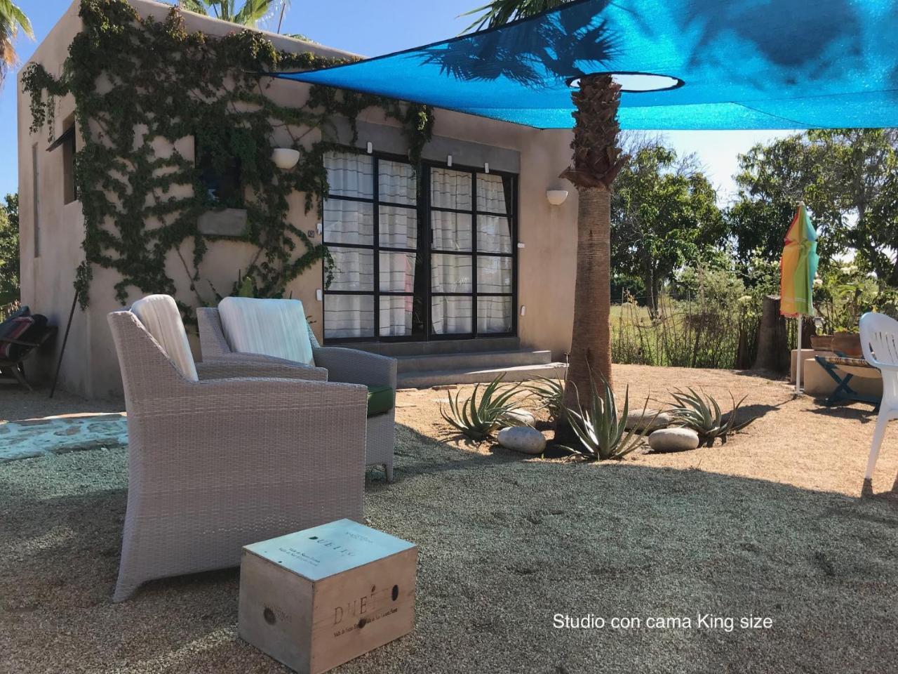 Sole Caliente Villa Todos Santos Ngoại thất bức ảnh